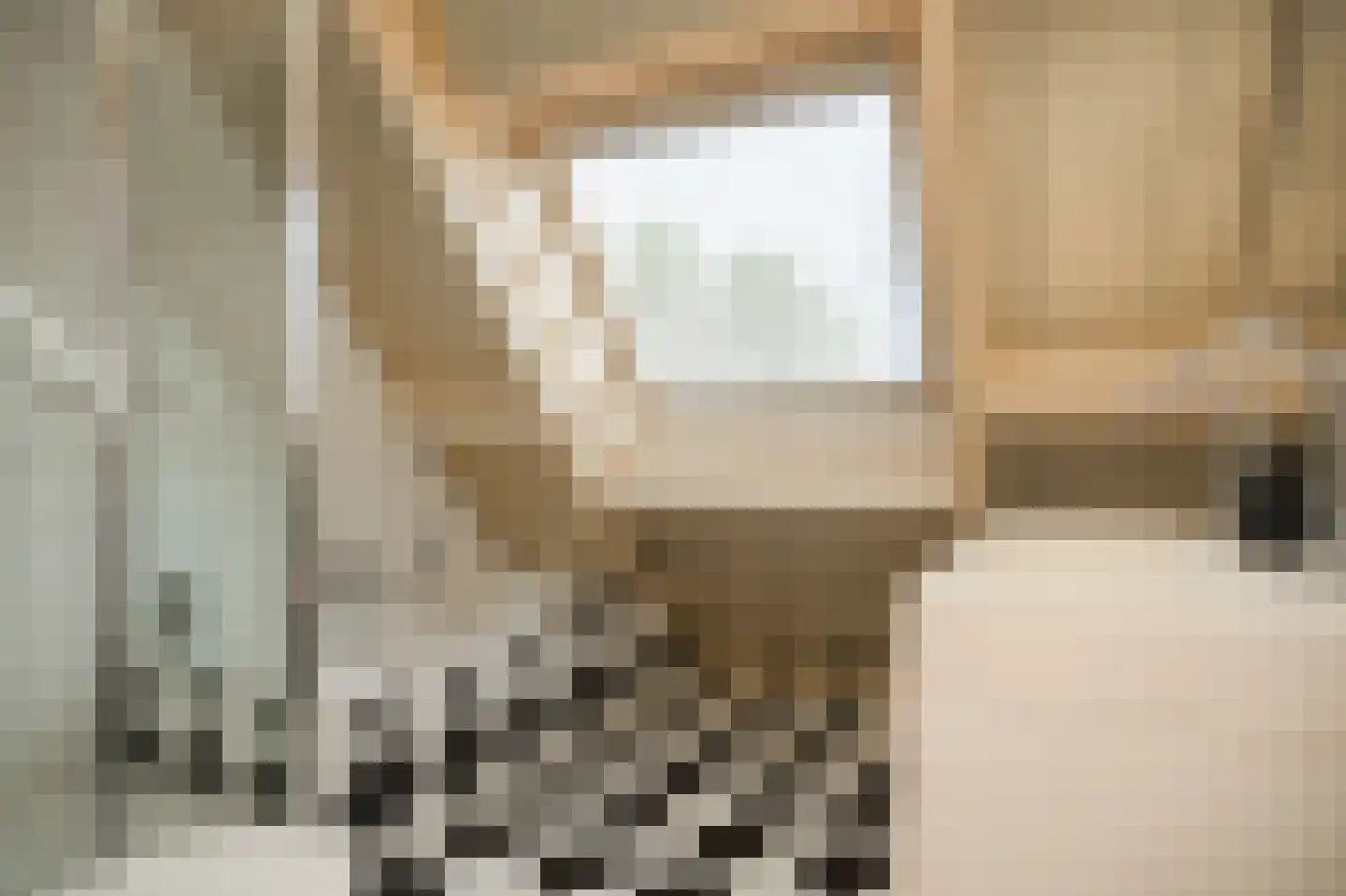 Schepenland 21 Kerkdriel thumbnail 24