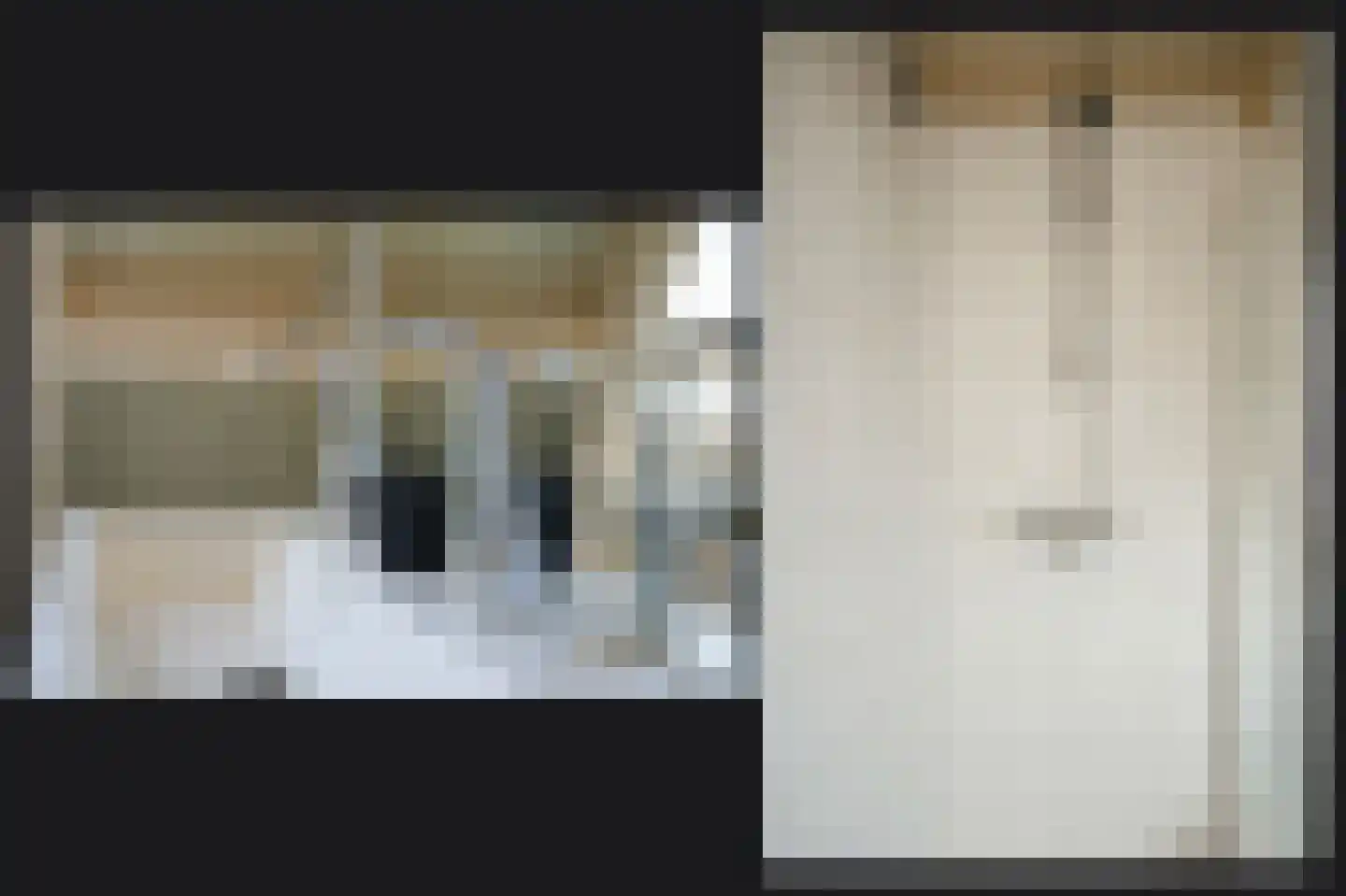 Schepenland 21 Kerkdriel thumbnail 25