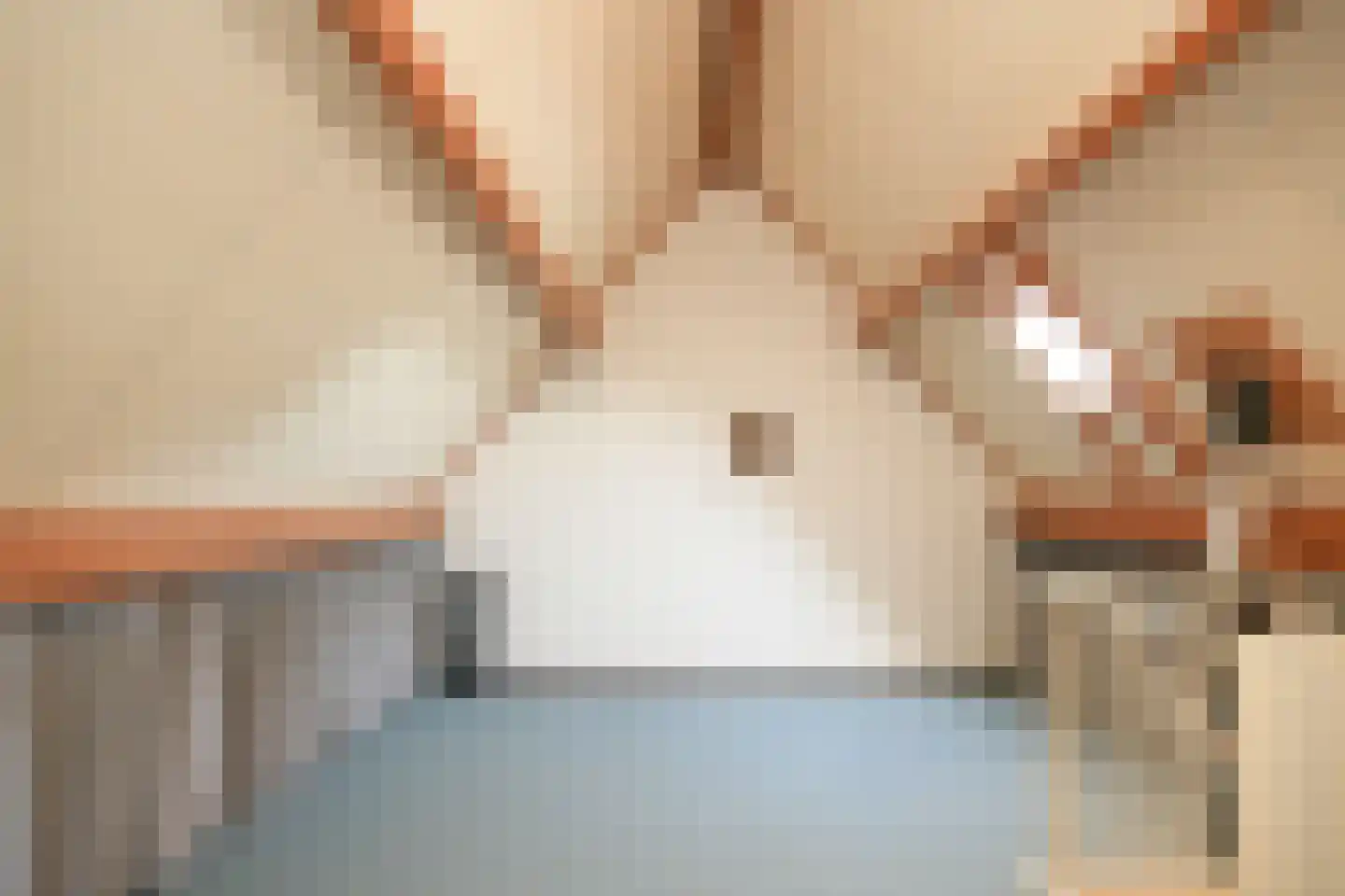 Schepenland 21 Kerkdriel thumbnail 28