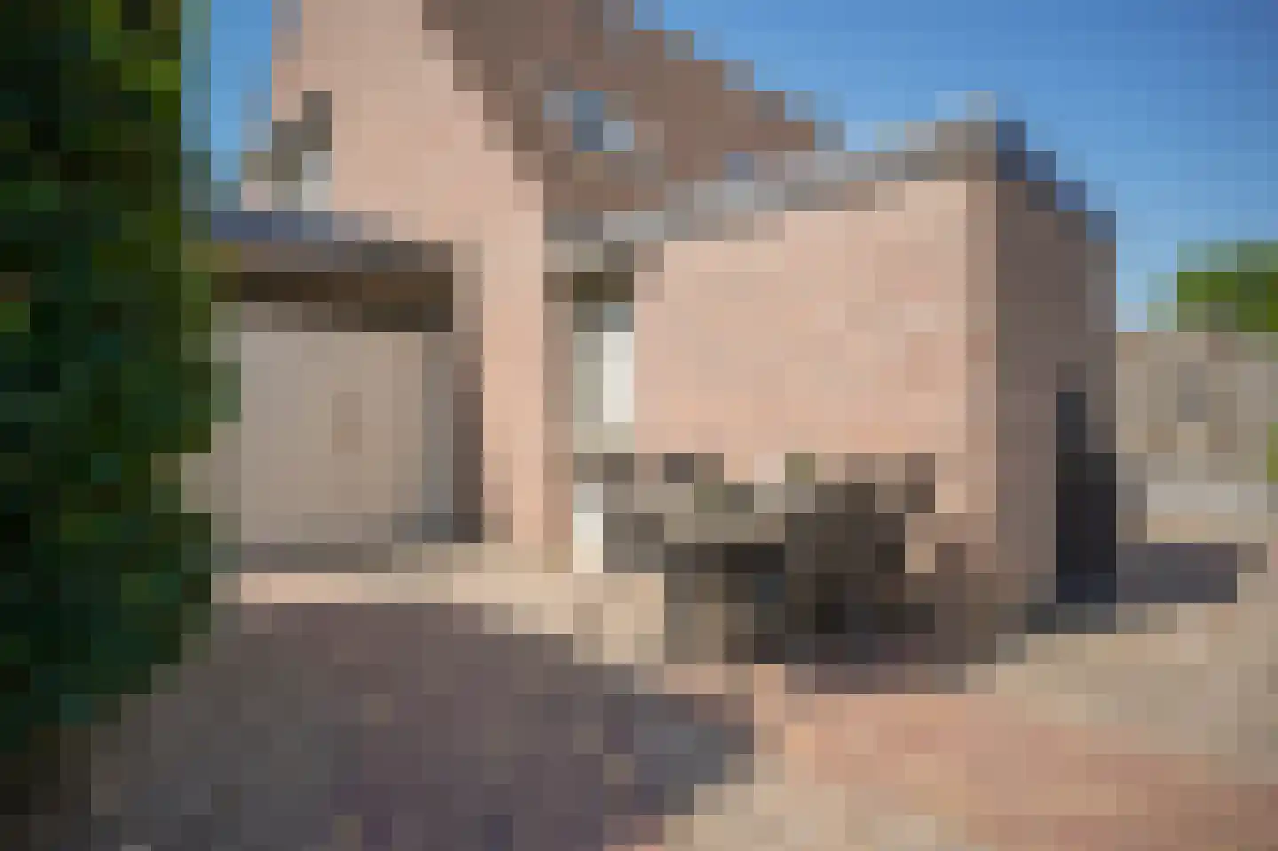 Schepenland 21 Kerkdriel thumbnail 37