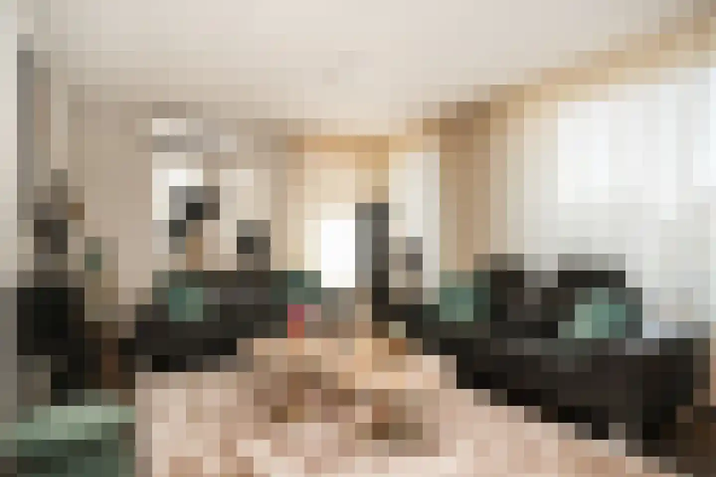 Schepenland 21 Kerkdriel thumbnail 4