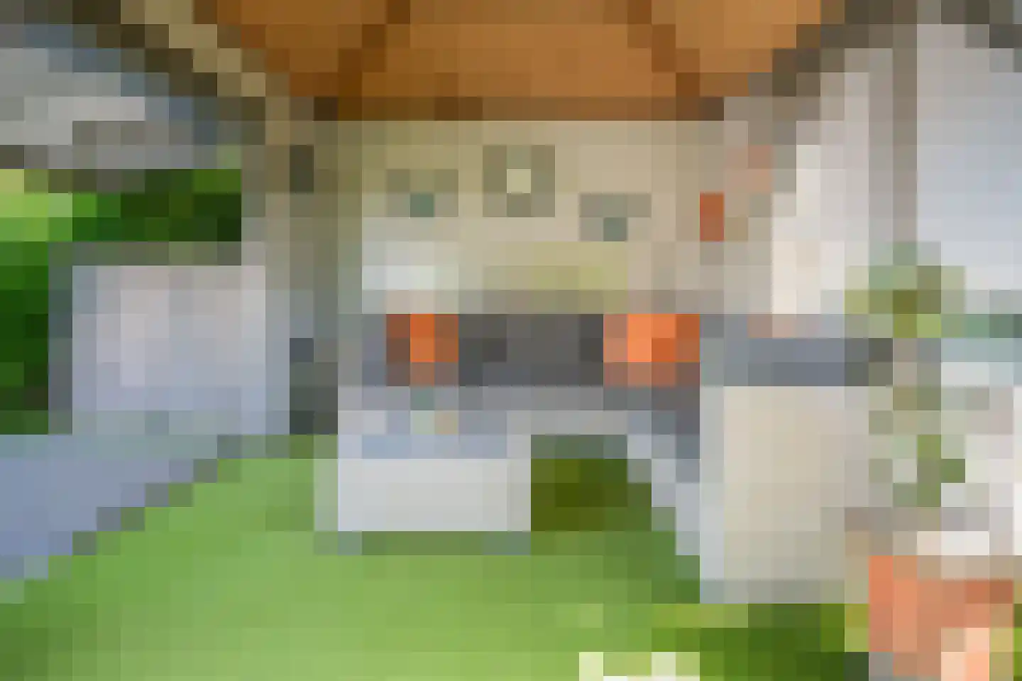 Schepenland 21 Kerkdriel thumbnail 43