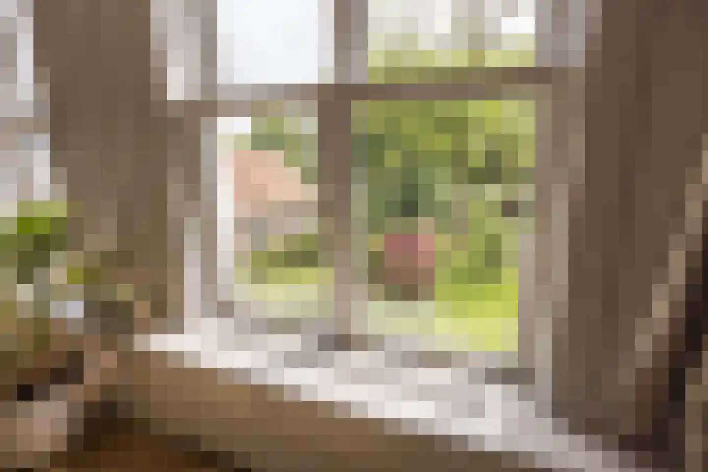 Schepenmakersdijk 11 Edam thumbnail 31