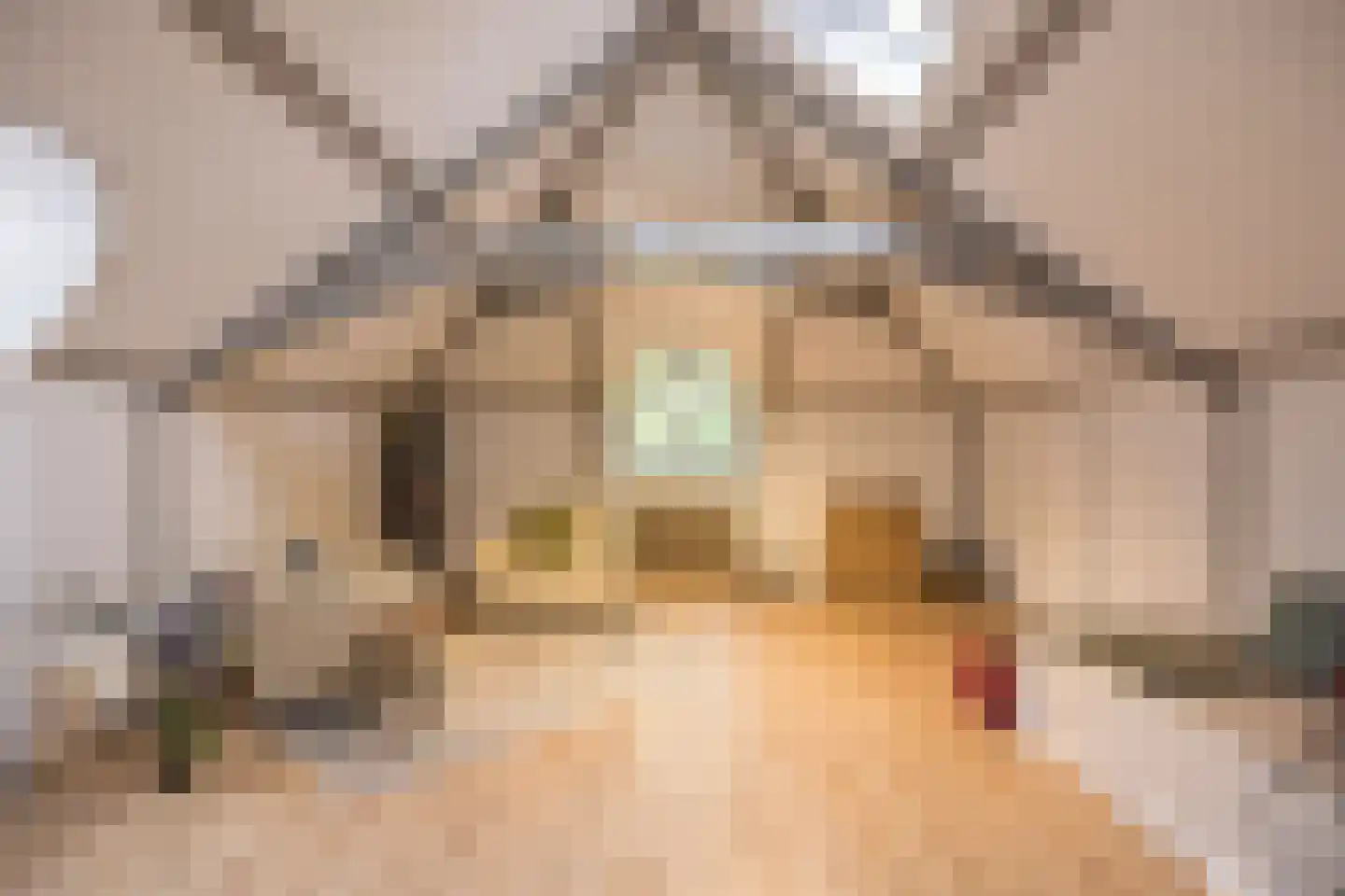 Schepenmakersdijk 11 Edam thumbnail 61