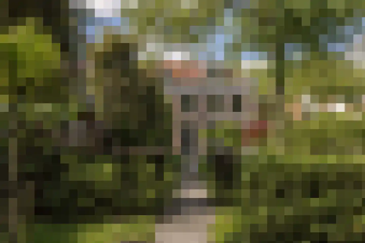 Schepenmakersdijk 11 Edam thumbnail 71