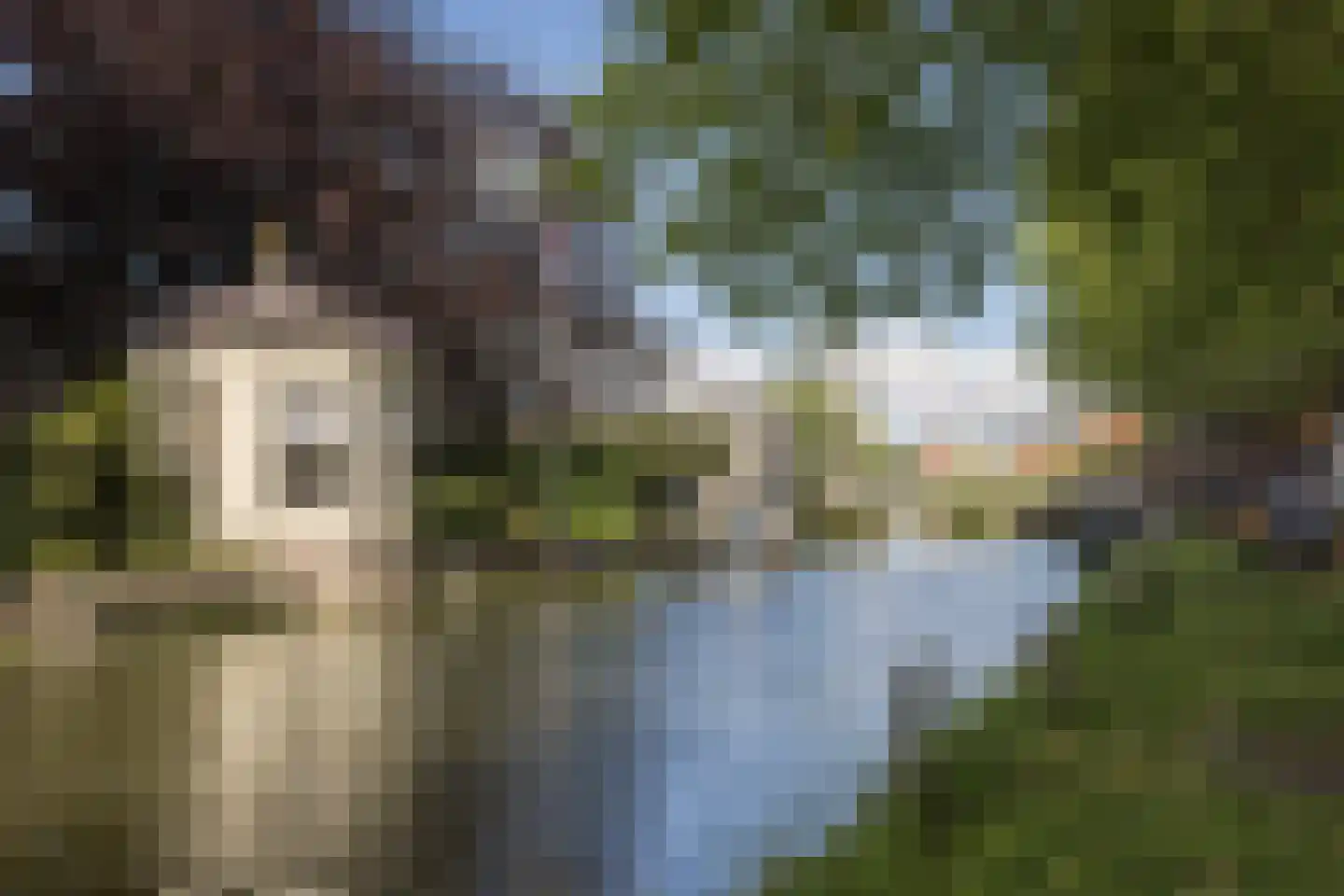 Schepenmakersdijk 11 Edam thumbnail 81