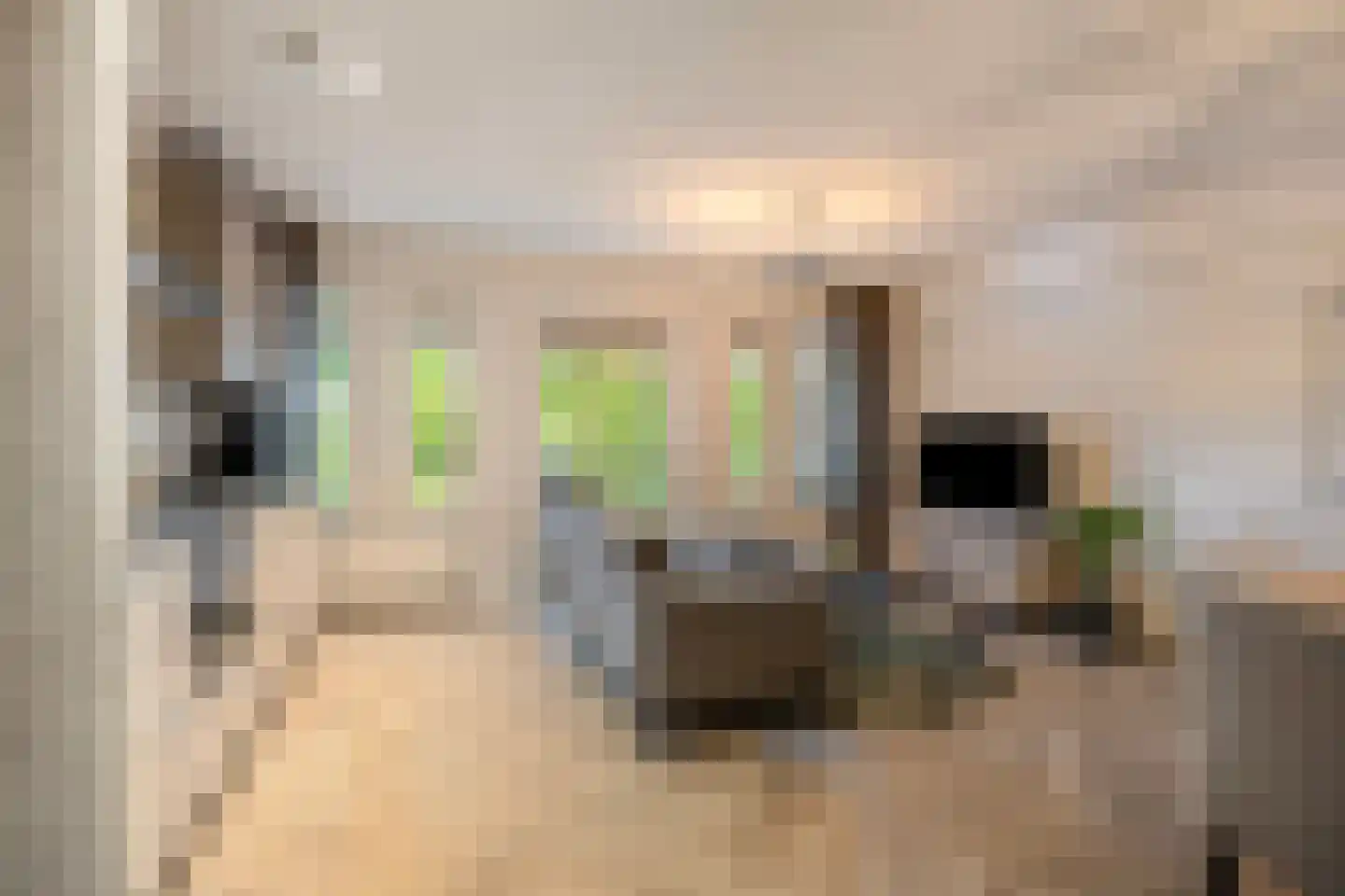 Schepenmakersdijk 13 Edam thumbnail 18
