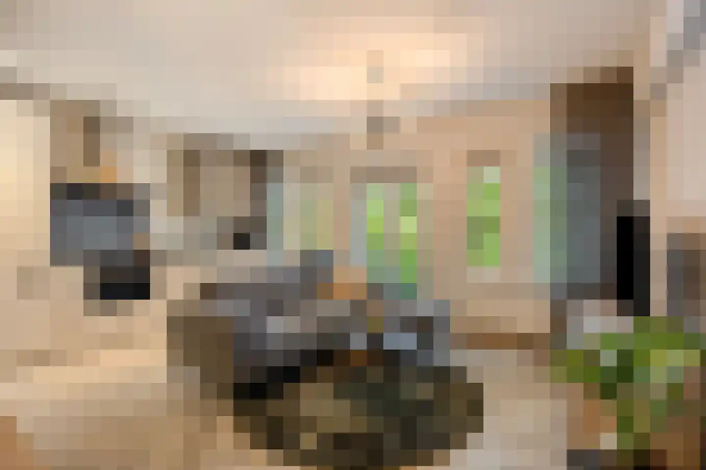 Schepenmakersdijk 13 Edam thumbnail 20
