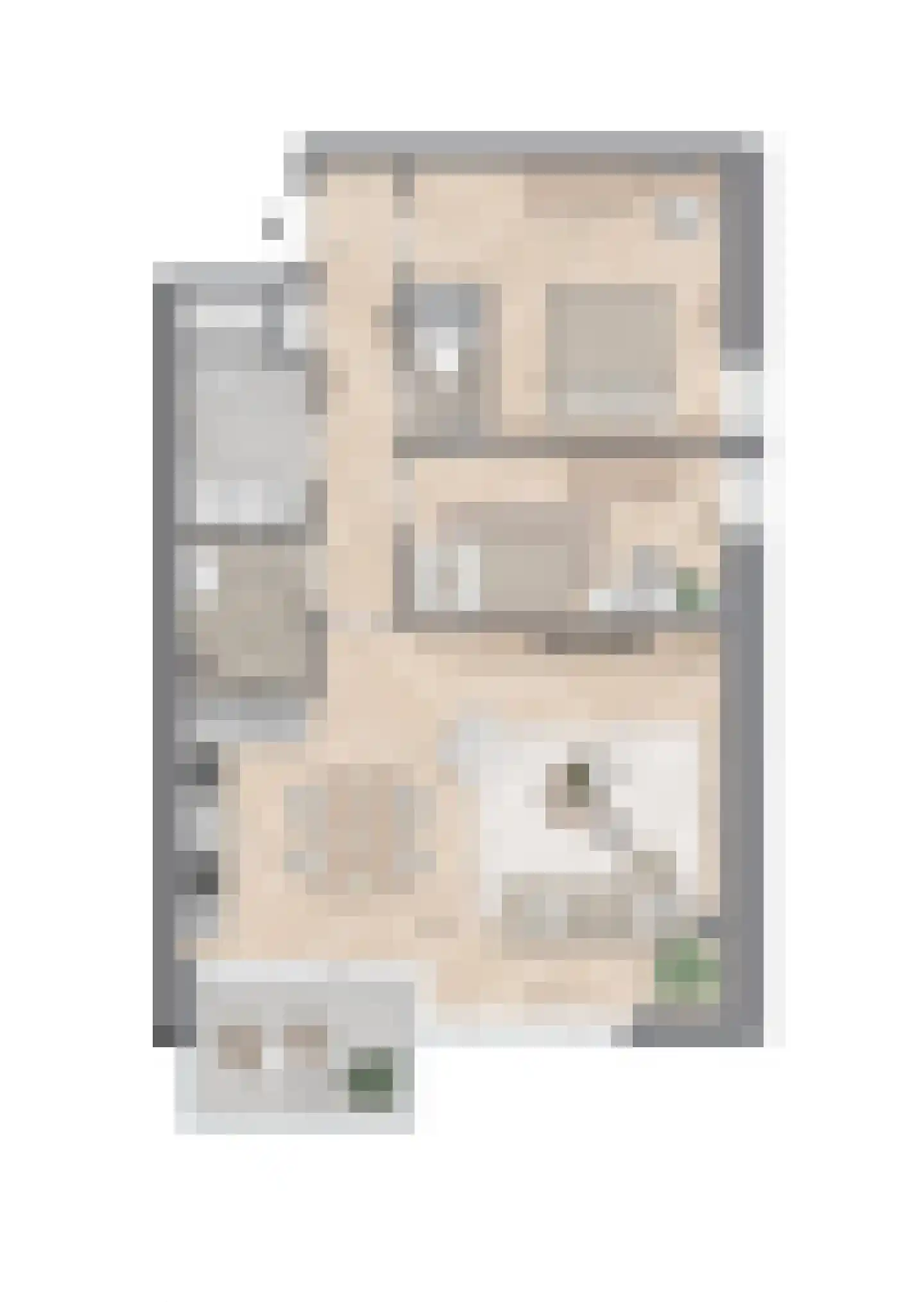Schepenpad 116 Spijkenisse thumbnail 17