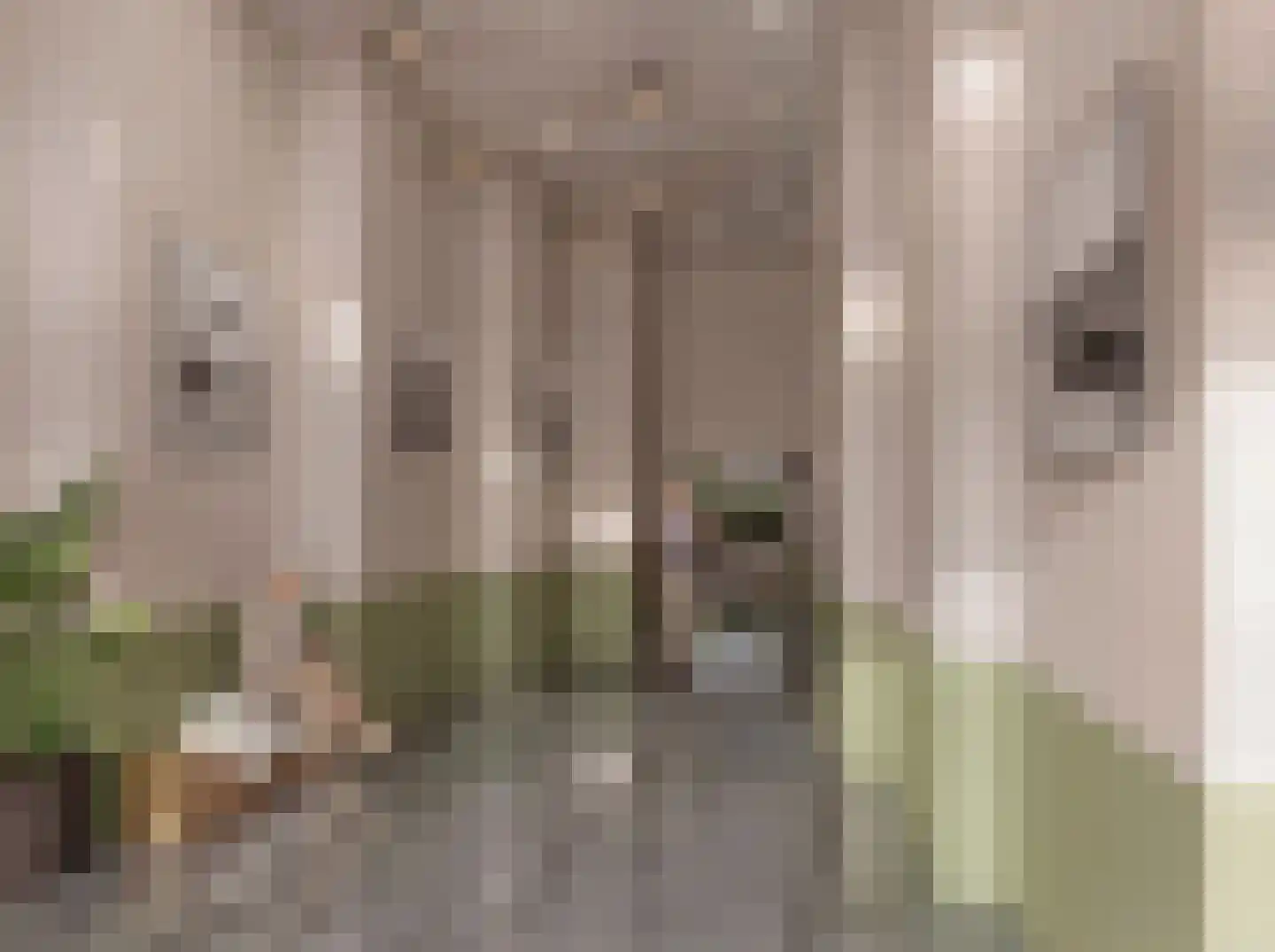 Schepenpad 142 Spijkenisse thumbnail 21