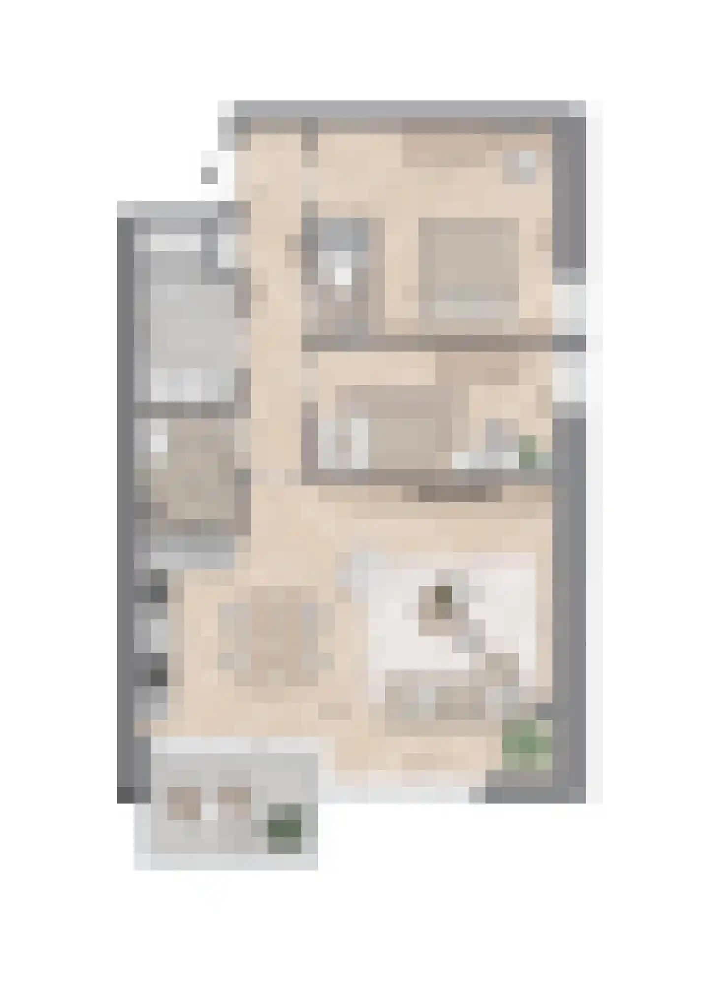 Schepenpad 186 Spijkenisse thumbnail 17