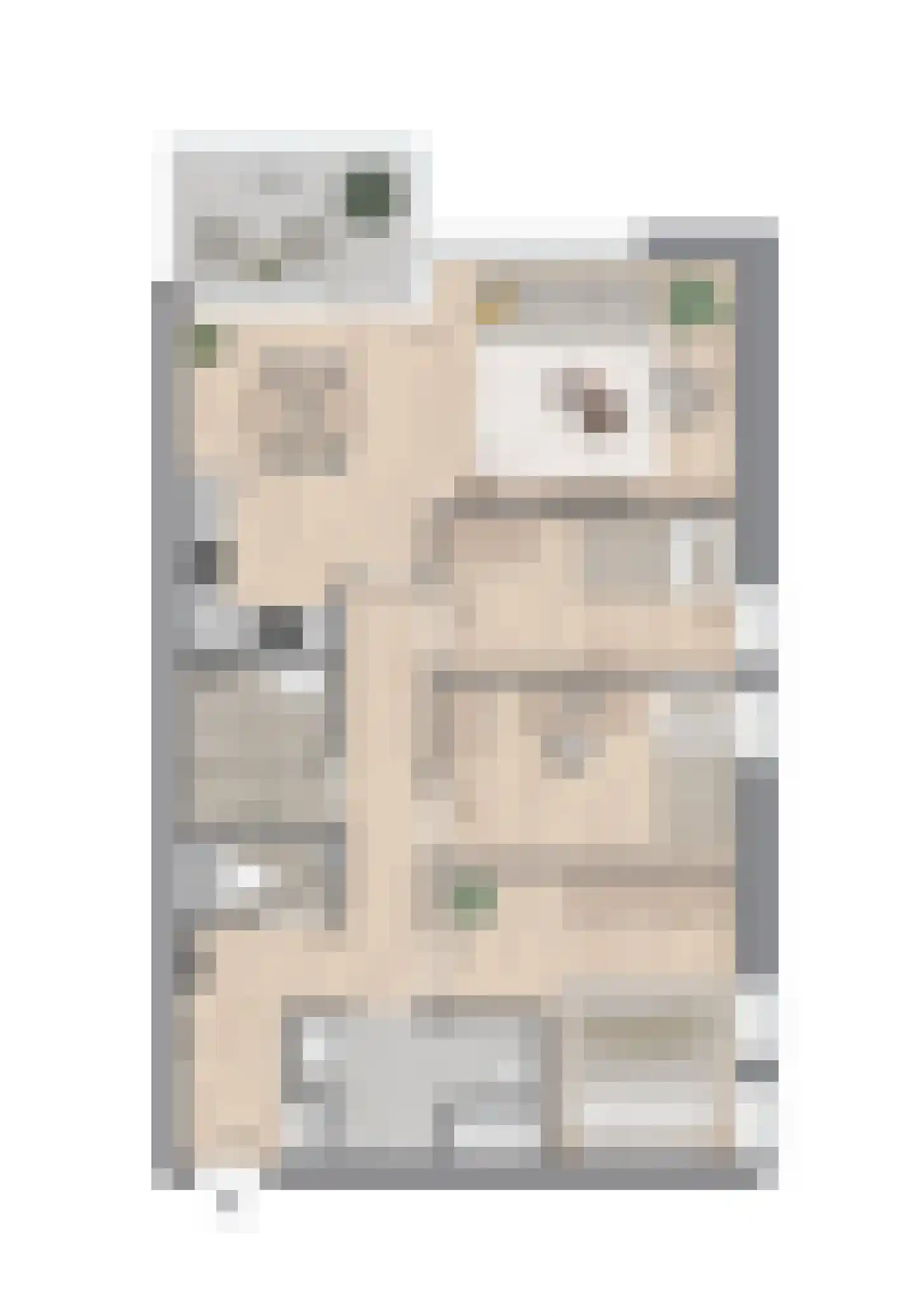 Schepenpad 200 Spijkenisse thumbnail 29