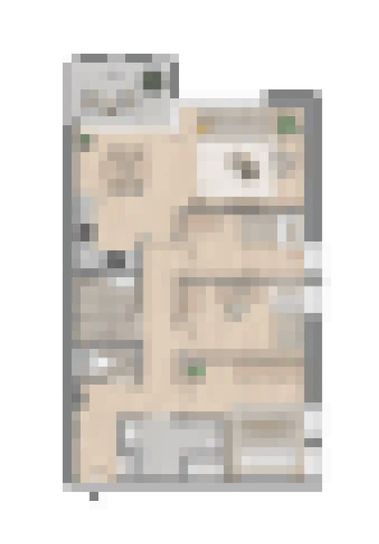 Schepenpad 200 Spijkenisse thumbnail 30