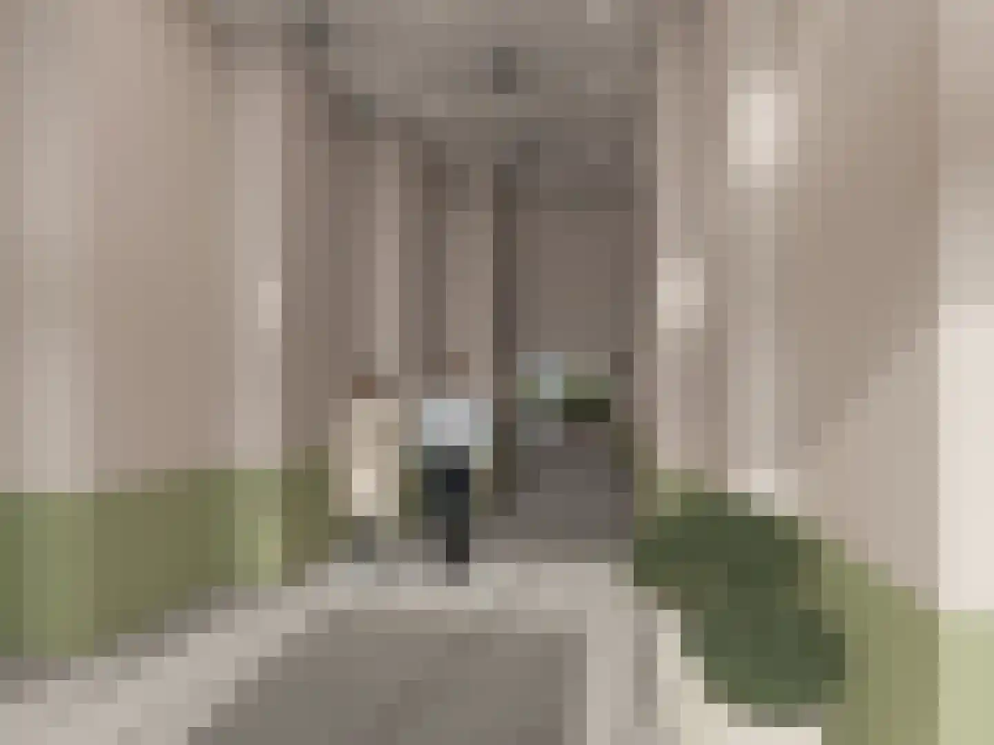 Schepenpad 210 Spijkenisse foto 2