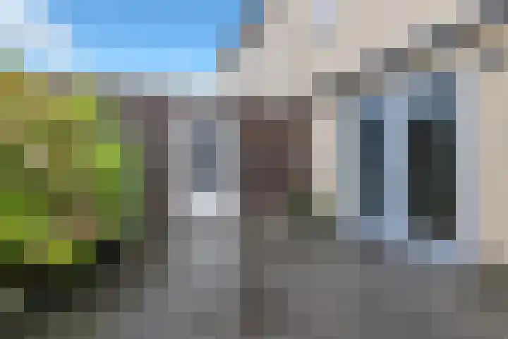 Schepenpad 218 Spijkenisse