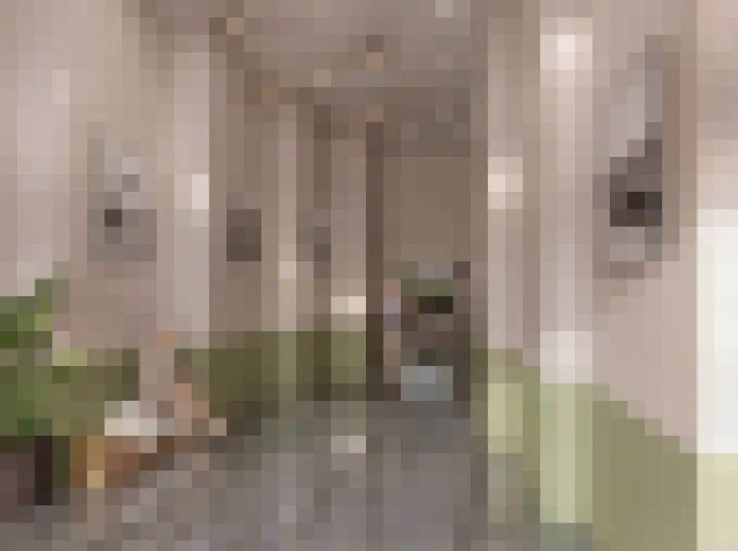 Schepenpad 60 Spijkenisse thumbnail 21