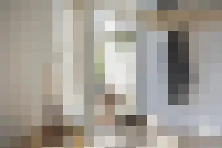 Schepenpad 88 Spijkenisse thumbnail 4