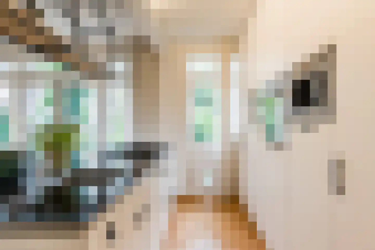 Schepenstraat 10 A Rotterdam thumbnail 21