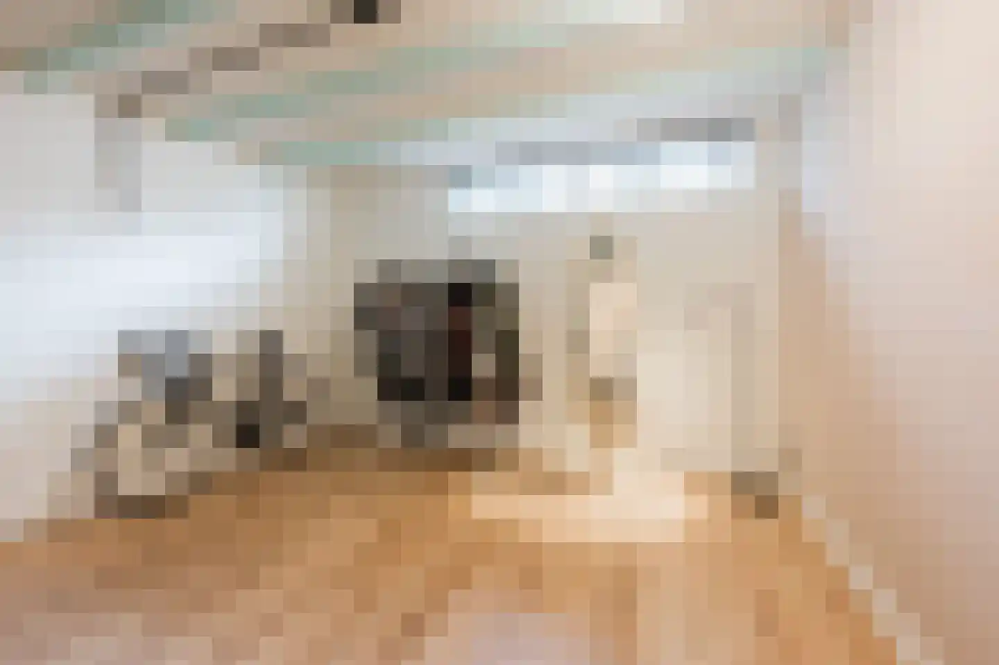 Schepenstraat 10 A Rotterdam thumbnail 32