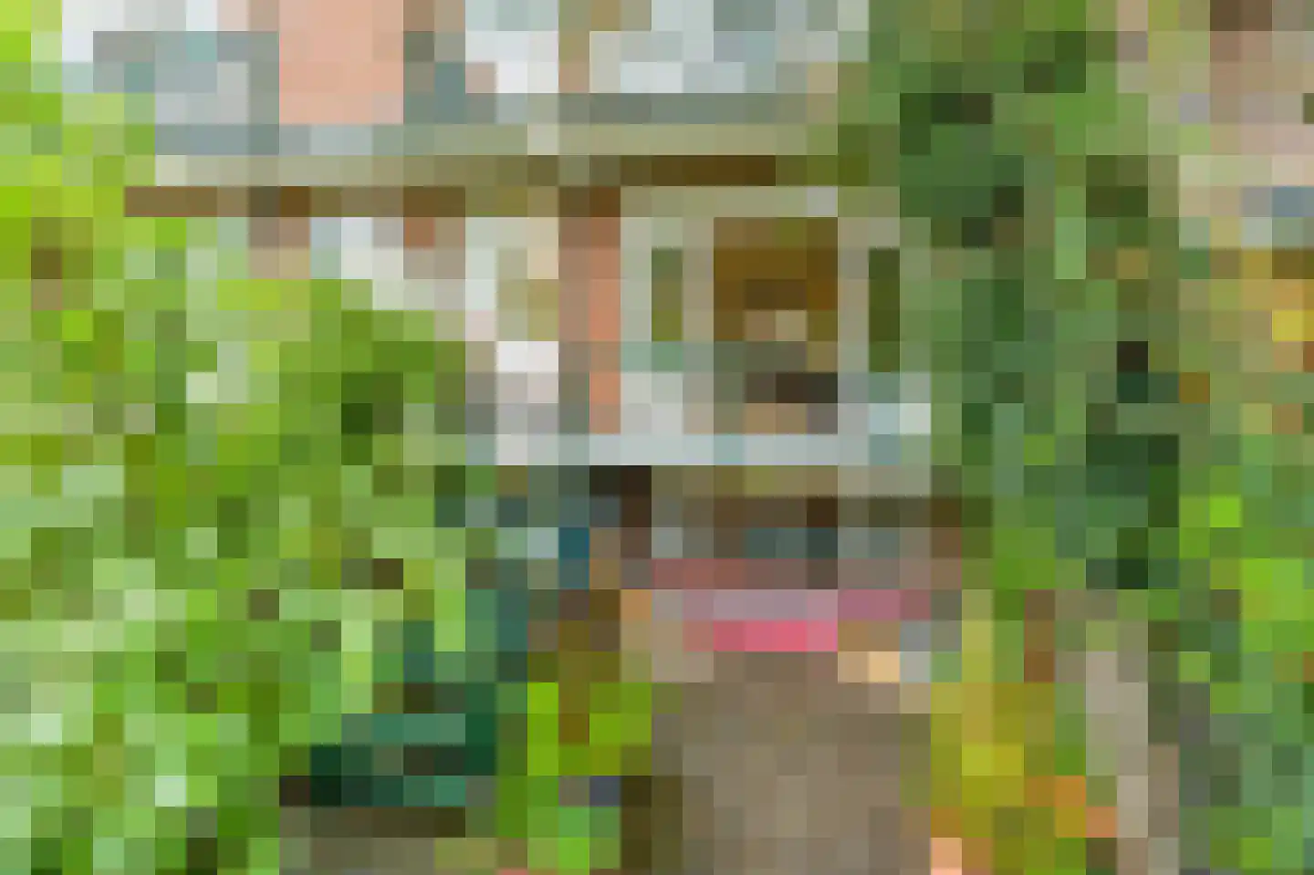 Schepenstraat 10 A Rotterdam thumbnail 39
