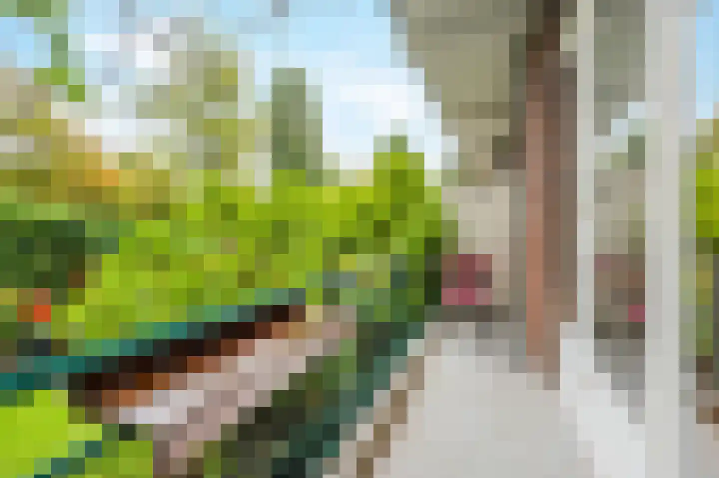 Schepenstraat 10 A Rotterdam thumbnail 43