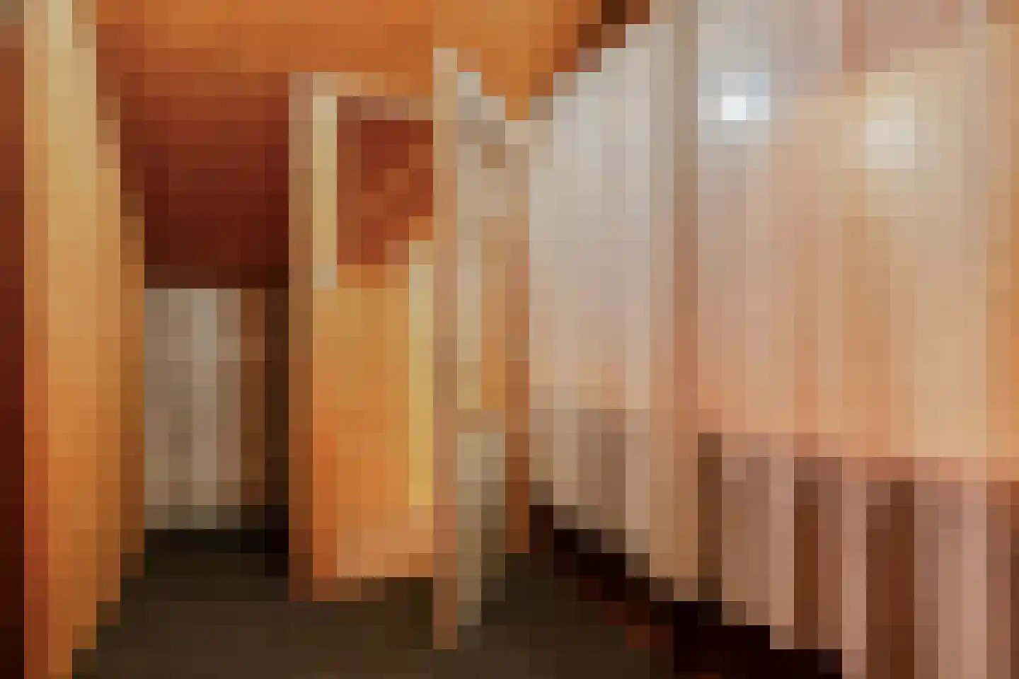 Schepenstraat 10 Baexem thumbnail 31