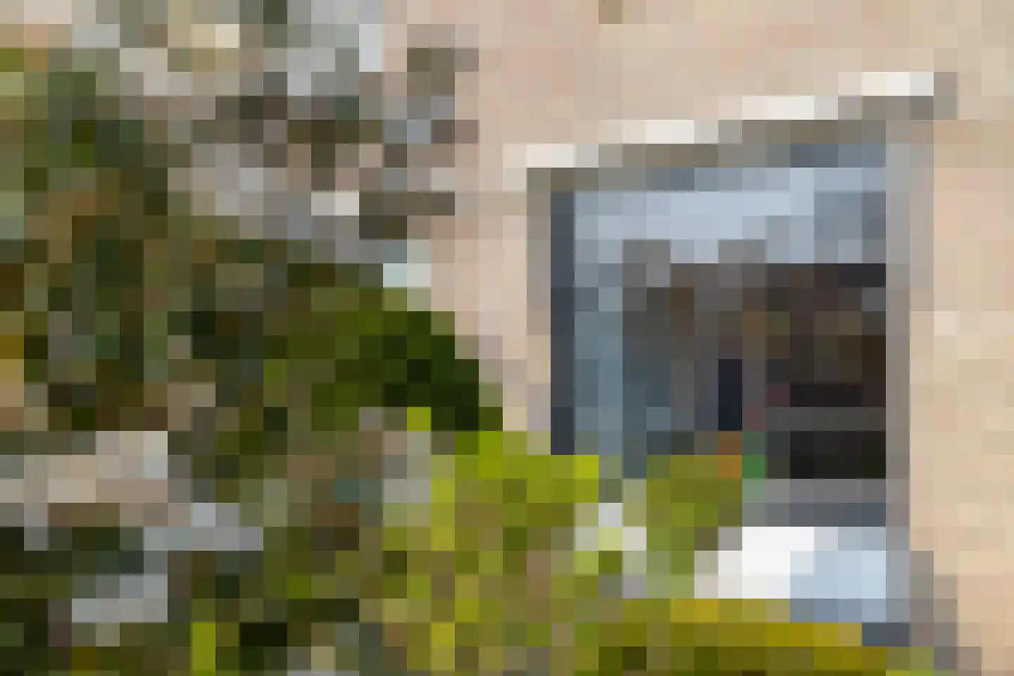 Schepenstraat 10 Baexem thumbnail 4