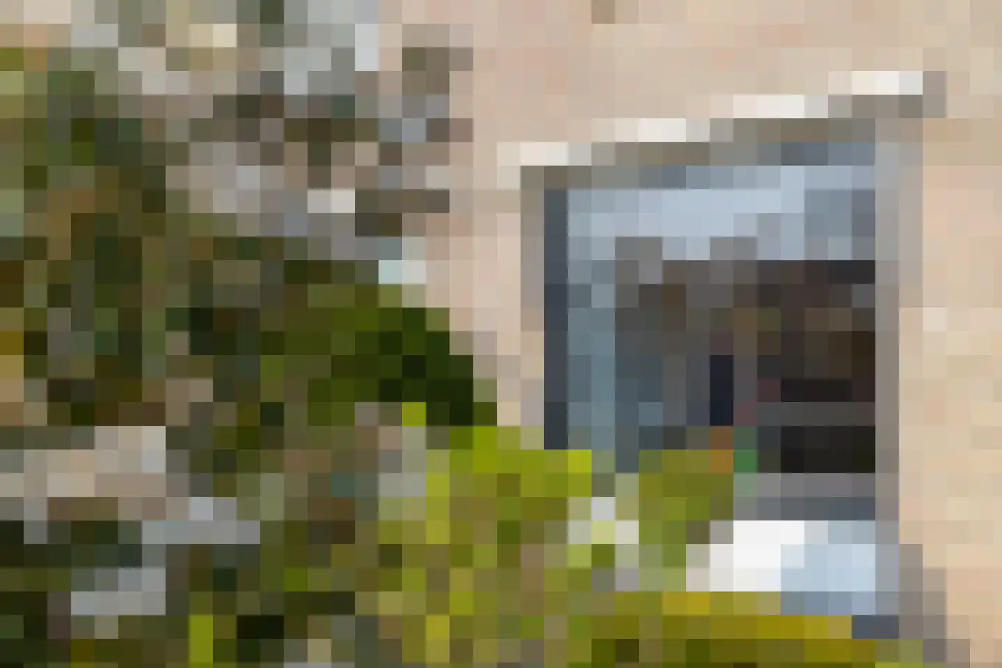 Schepenstraat 10 Baexem thumbnail 4