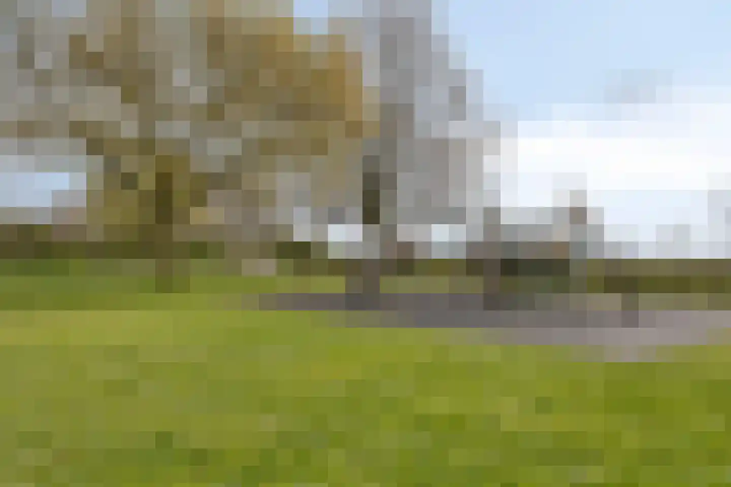 Schepenstraat 10 Baexem thumbnail 43