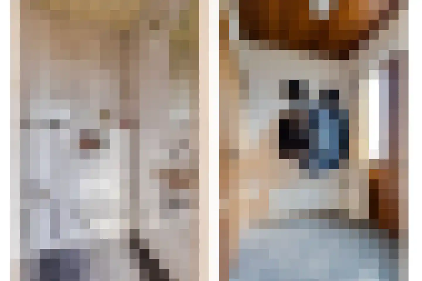 Schepenstraat 10 Baexem thumbnail 5