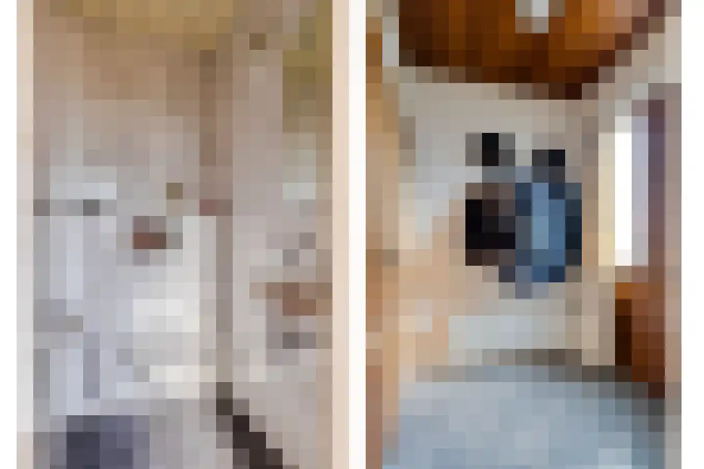 Schepenstraat 10 Baexem thumbnail 5