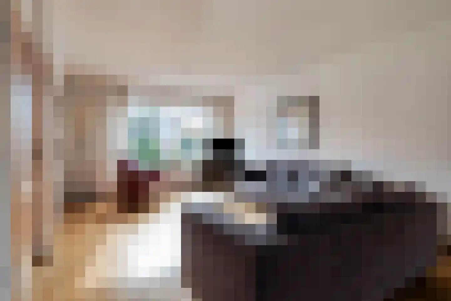 Schepenstraat 10 Baexem thumbnail 8