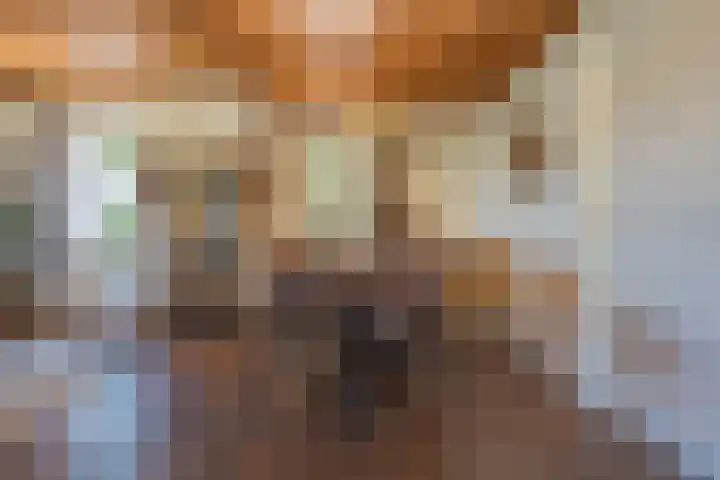 Schepenstraat 10 Dreumel thumbnail 11