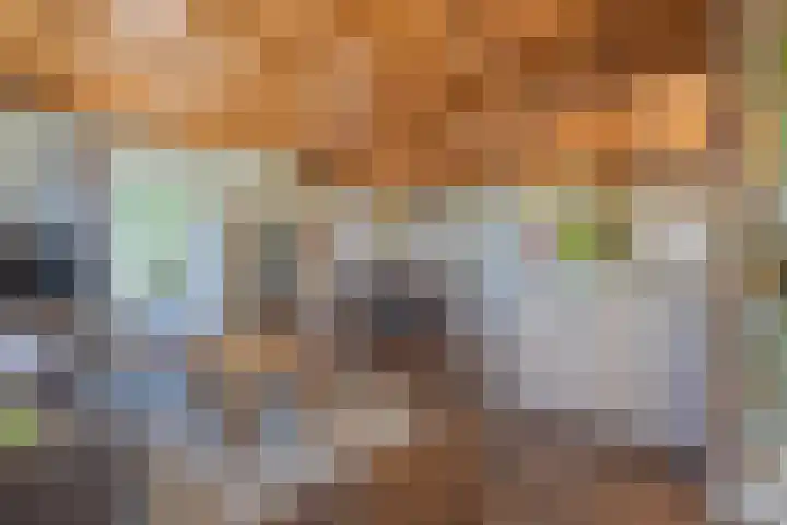 Schepenstraat 10 Dreumel thumbnail 12