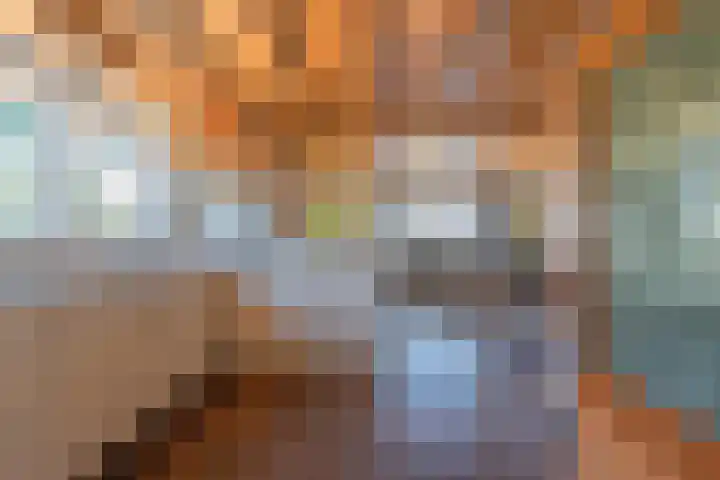 Schepenstraat 10 Dreumel thumbnail 15
