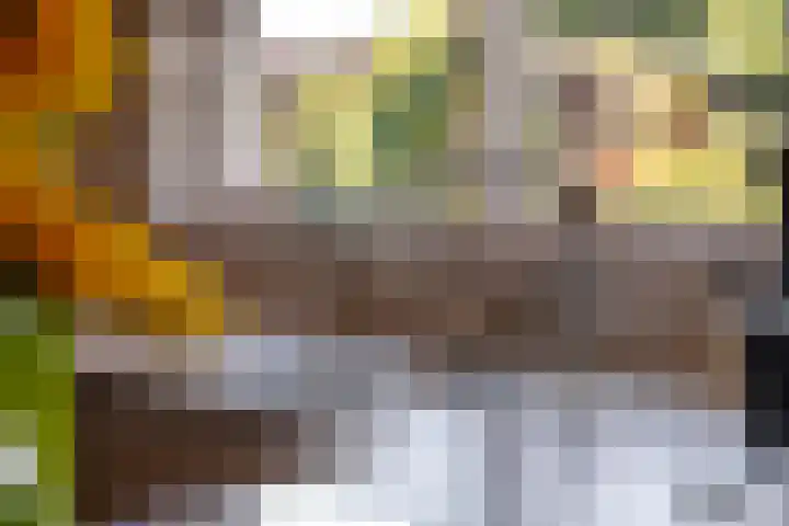 Schepenstraat 10 Dreumel thumbnail 16