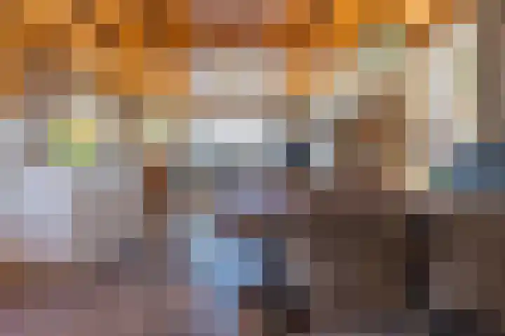 Schepenstraat 10 Dreumel thumbnail 17