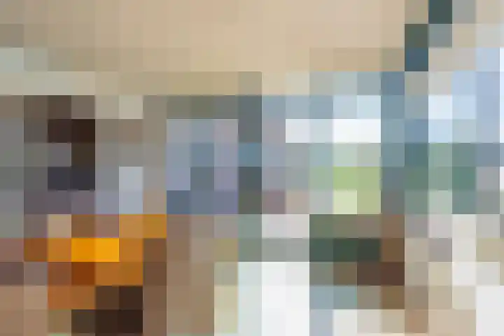 Schepenstraat 10 Dreumel thumbnail 20
