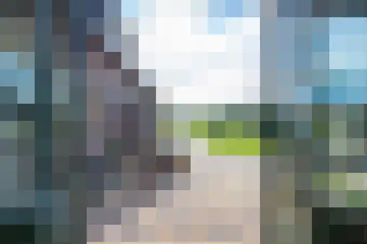 Schepenstraat 10 Dreumel thumbnail 21