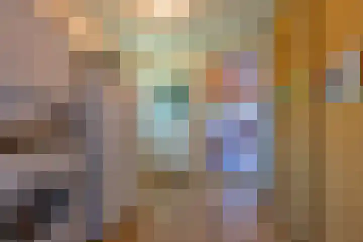 Schepenstraat 10 Dreumel thumbnail 23