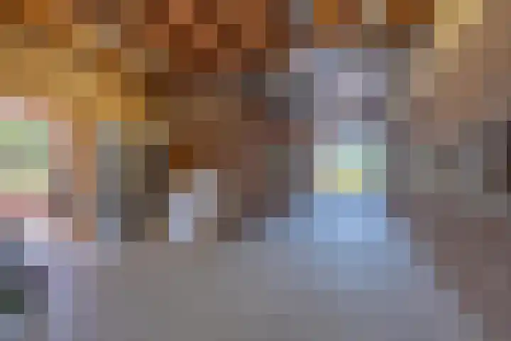 Schepenstraat 10 Dreumel thumbnail 28