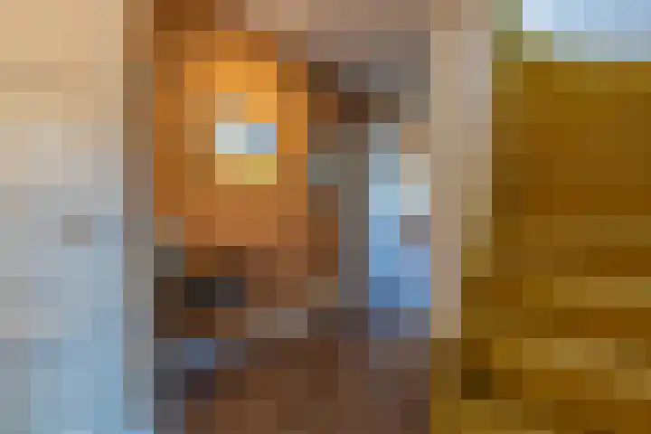 Schepenstraat 10 Dreumel thumbnail 30