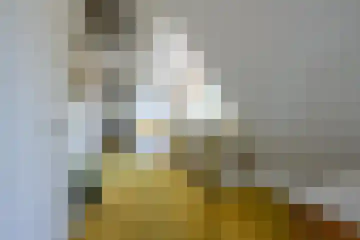 Schepenstraat 10 Dreumel thumbnail 32