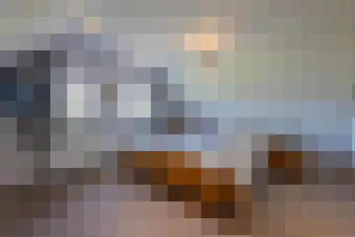Schepenstraat 10 Dreumel thumbnail 33