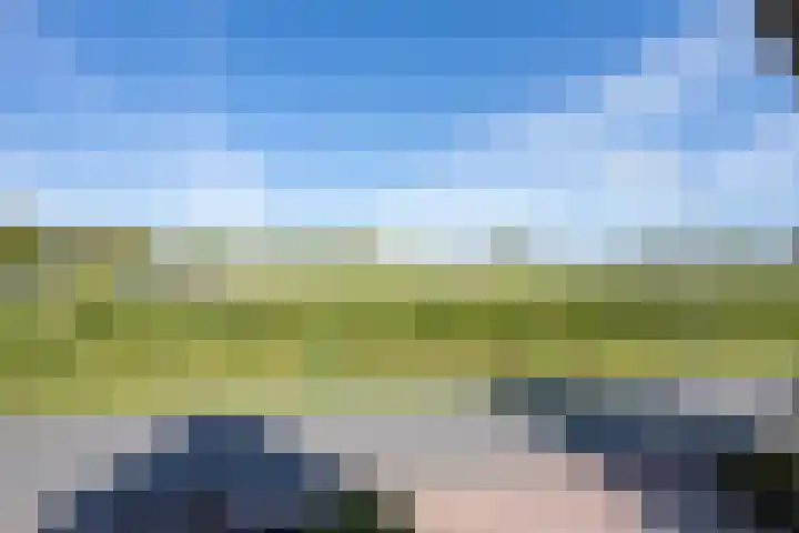 Schepenstraat 10 Dreumel thumbnail 34