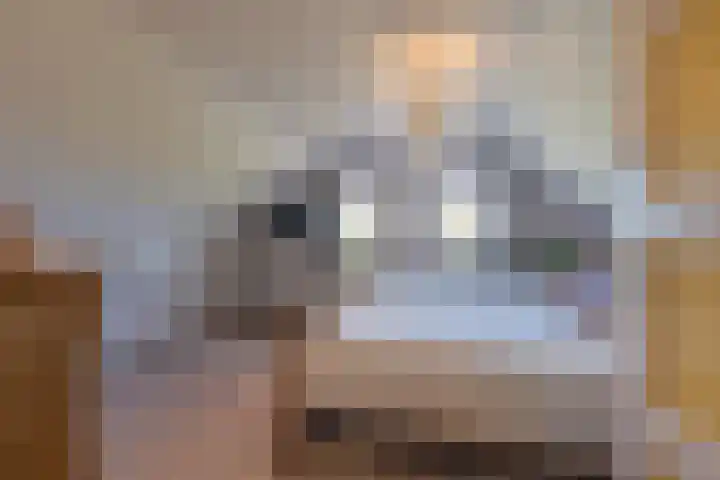 Schepenstraat 10 Dreumel thumbnail 36