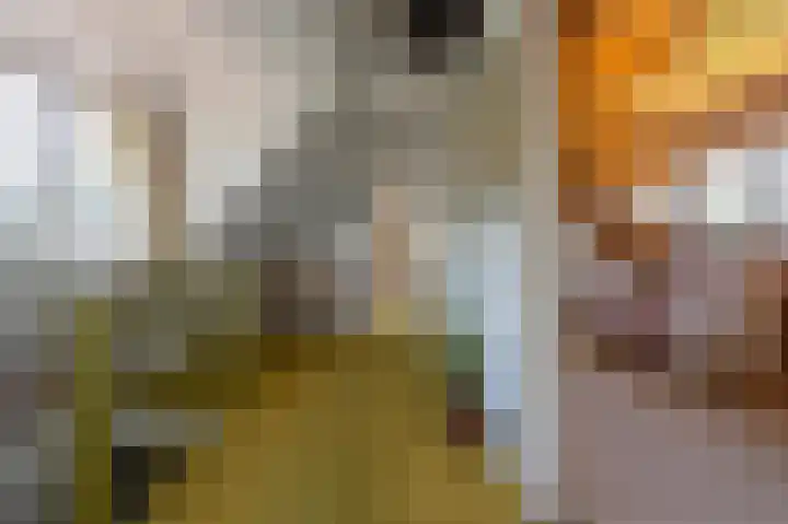 Schepenstraat 10 Dreumel thumbnail 37