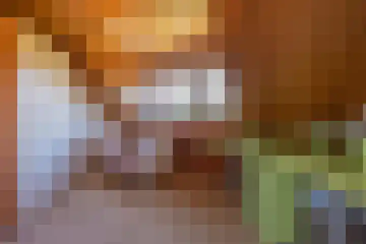 Schepenstraat 10 Dreumel thumbnail 38