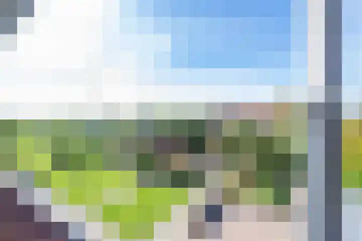 Schepenstraat 10 Dreumel thumbnail 39