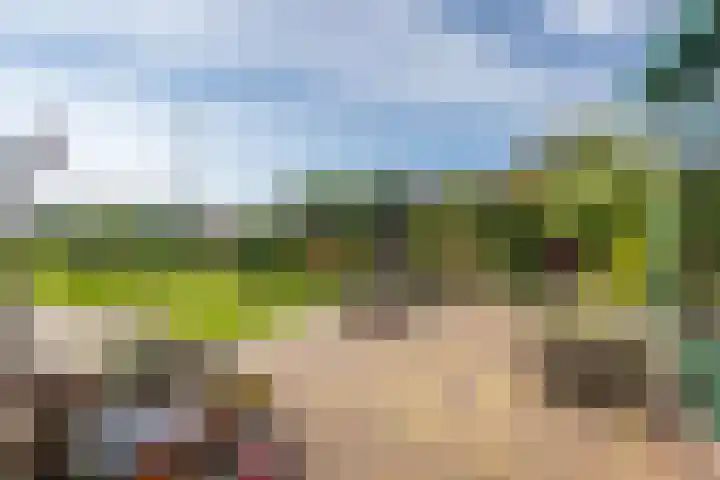 Schepenstraat 10 Dreumel thumbnail 4